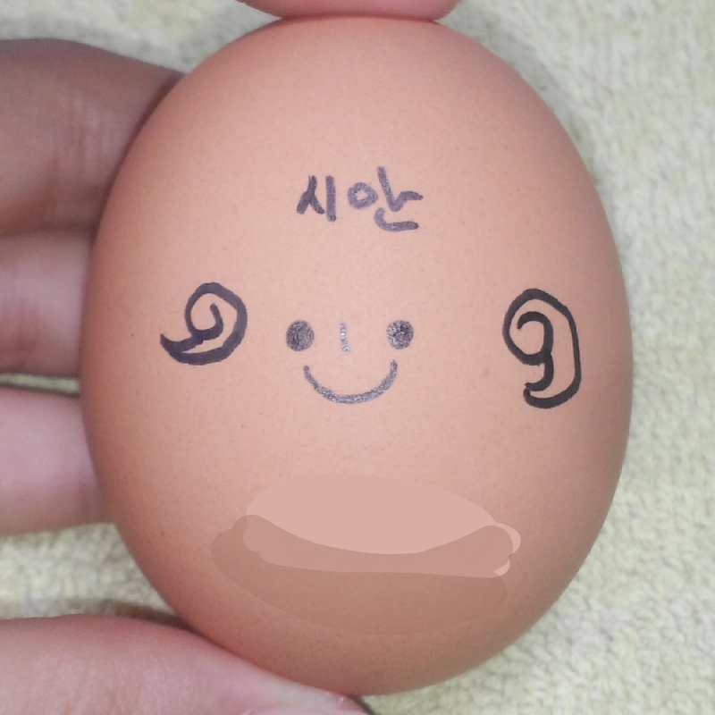부활절 지.. : 부활절 지낫지만..ㅋㅋ
오너캐 시안이 계란화ㅋㅋ 스케치판 ,sketchpan