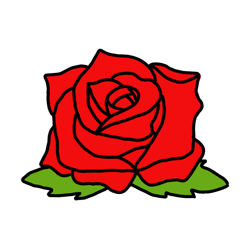 장미 : 장미 스케치판 ,sketchpan