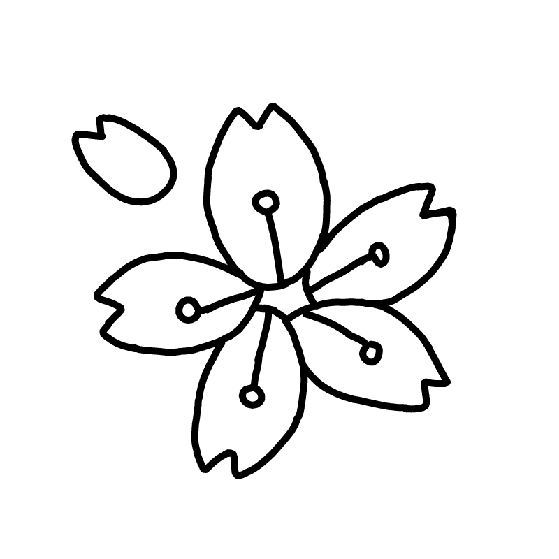 cherry blo.. : cherry blossom 스케치판 ,sketchpan