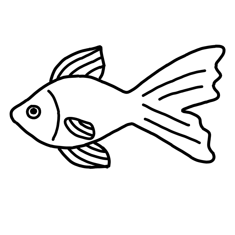 금붕어 : 금붕어 스케치판 ,sketchpan