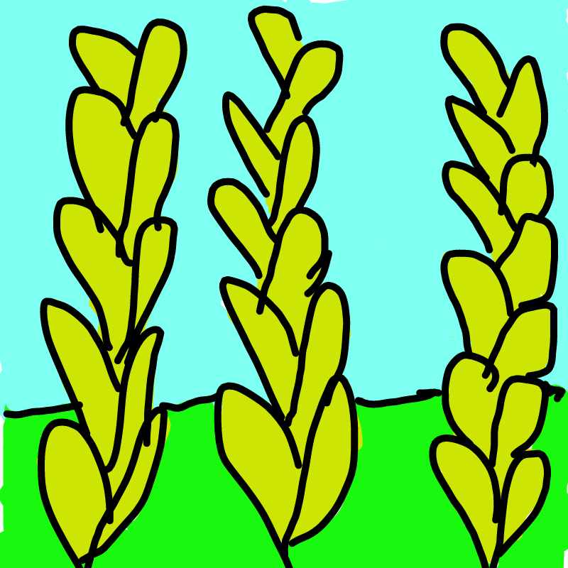 &nbsp; : &nbsp; 스케치판 ,sketchpan