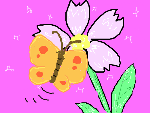 꽃과 나비 : 꽃이 있는데 나비가 없으면 안되겠죠^^ 스케치판 ,sketchpan