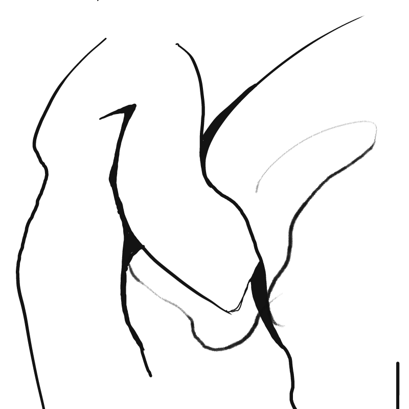 &nbsp; : &nbsp; 스케치판 ,sketchpan