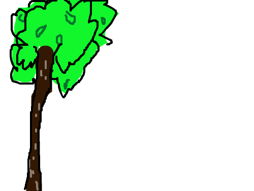나무 : 나무나무 스케치판 ,sketchpan