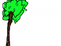 나무 : 나무나무 스케치판 ,sketchpan