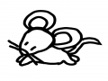쥐 : 쥐 스케치판 ,sketchpan