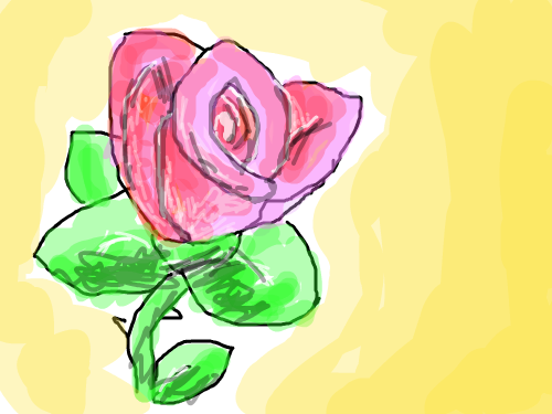 color rose : color rose 스케치판 ,sketchpan