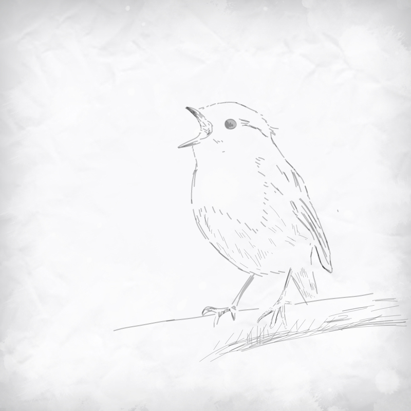   :   스케치판 ,sketchpan