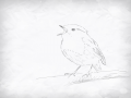   :   스케치판 ,sketchpan