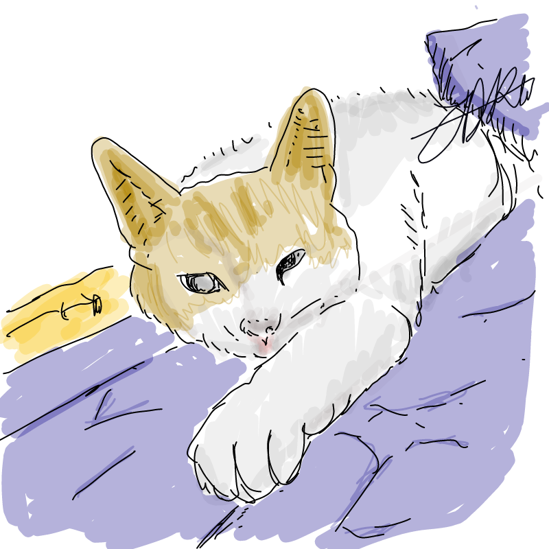   :   스케치판 ,sketchpan