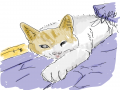  :   스케치판 ,sketchpan