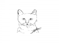   :   스케치판 ,sketchpan
