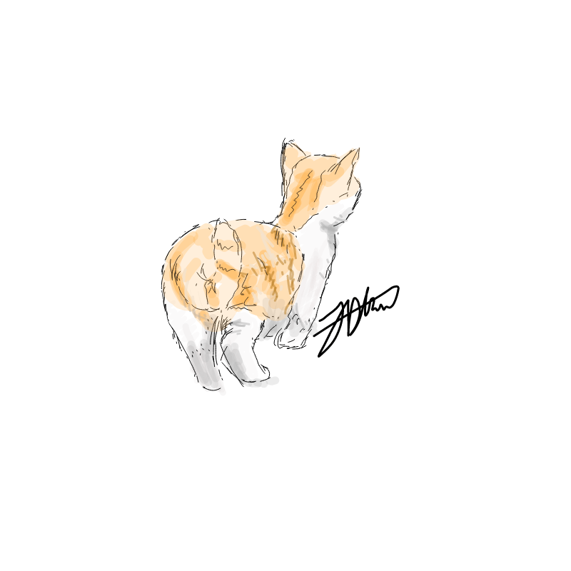   :   스케치판 ,sketchpan