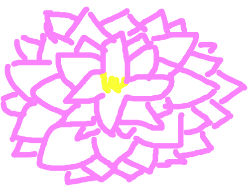 연꽃 : 아름다운 연꽃을 감상해 봅시당!! 스케치판 ,sketchpan