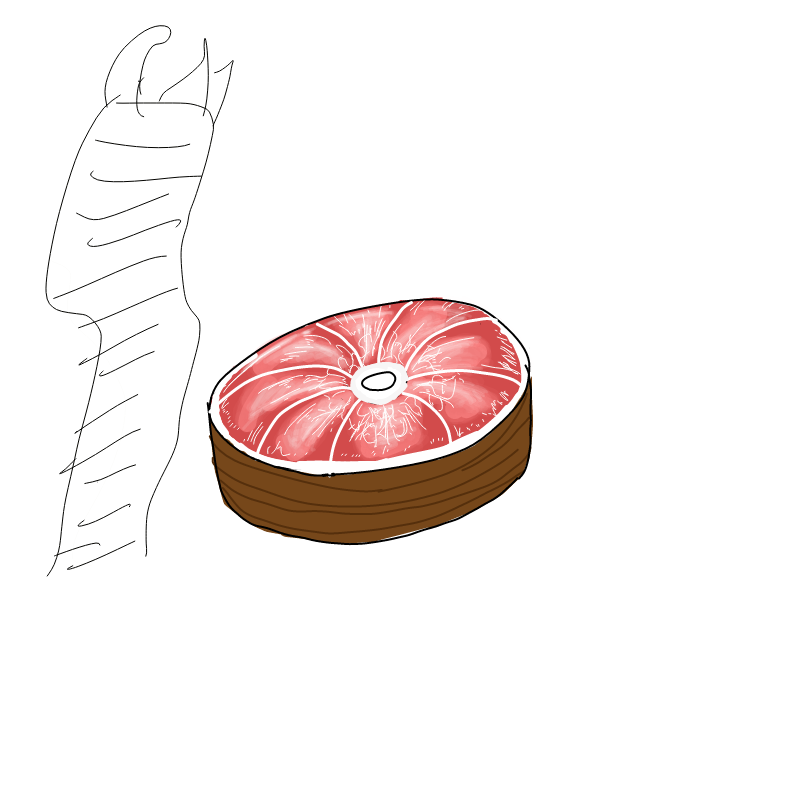 고기 : 고기 스케치판 ,sketchpan