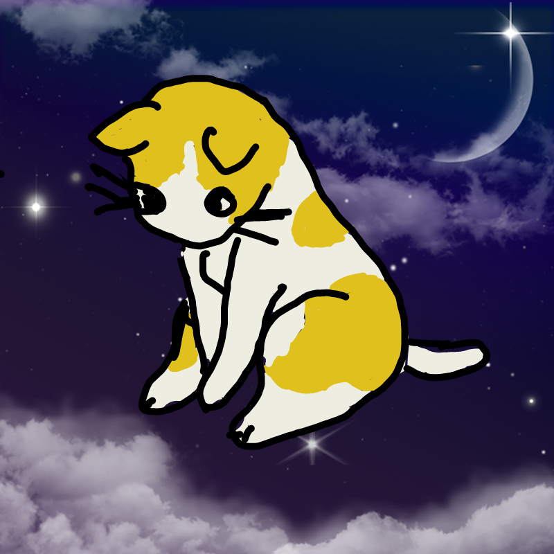 고양이 : 고양이 스케치판 ,sketchpan