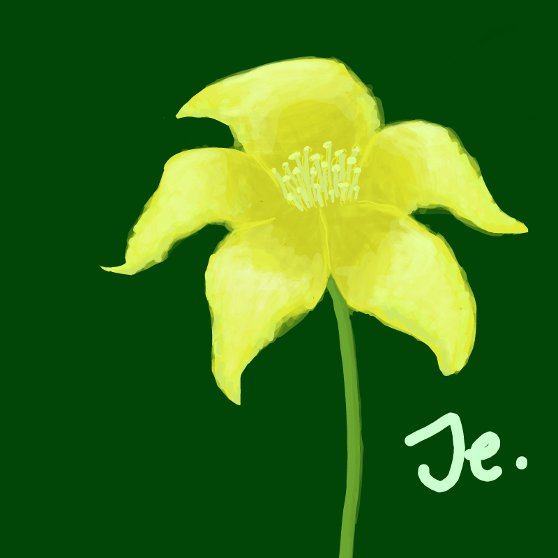 꽃 : 꽃 스케치판 ,sketchpan