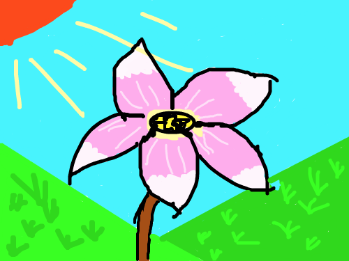 꽃이예요. : 예쁘죠? 스케치판 ,sketchpan