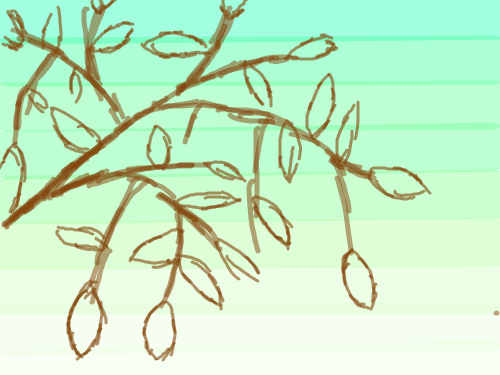 나무의 일부분 : 나무의 일부분 스케치판 ,sketchpan