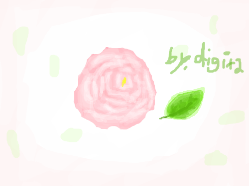 장미 : 장미에요 ㅋㅋ 스케치판 ,sketchpan