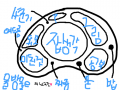 뇌구조 : .................. 스케치판 ,sketchpan