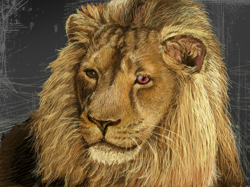 오드아이 사자ㅋㅋ_초코레트 : 한쪽눈 시뻘건색으로 해서 오드아이 만드렀당 ㅎㅎ 스케치판 ,sketchpan