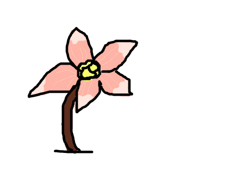 잎이 뾰족한 꽃 : 잎이 뾰족한 꽃 스케치판 ,sketchpan