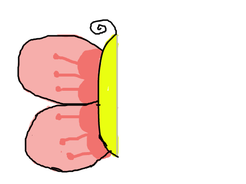 나비 : 아주아주잘생겼다 스케치판 ,sketchpan