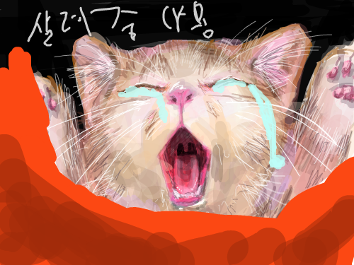 살려중~냐옹 : 불쌍해 내가, 내가 구해줄께! 스케치판 ,sketchpan