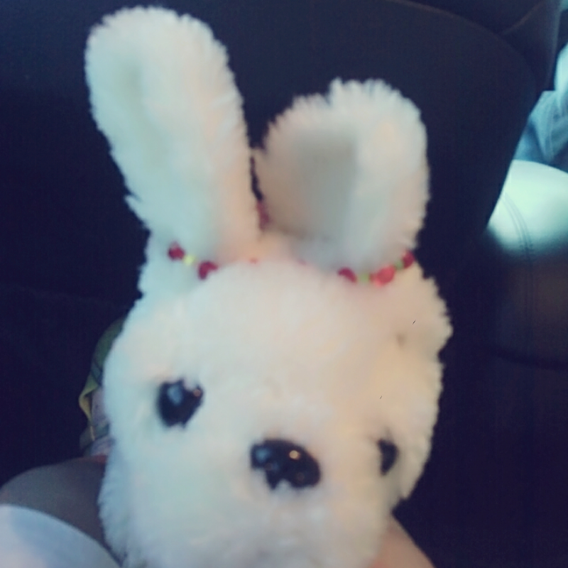   :   스케치판 ,sketchpan