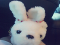   :   스케치판 ,sketchpan