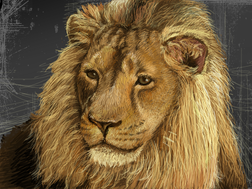 andn : dfann 스케치판 ,sketchpan