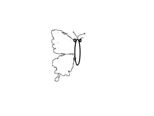 나비 : 예쁜나비 스케치판 ,sketchpan