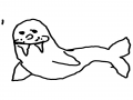   :   스케치판 ,sketchpan