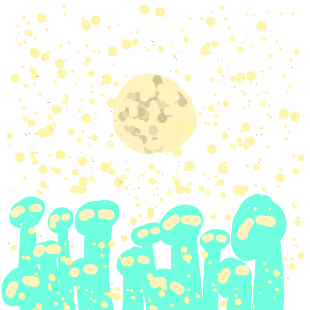   :   스케치판 ,sketchpan