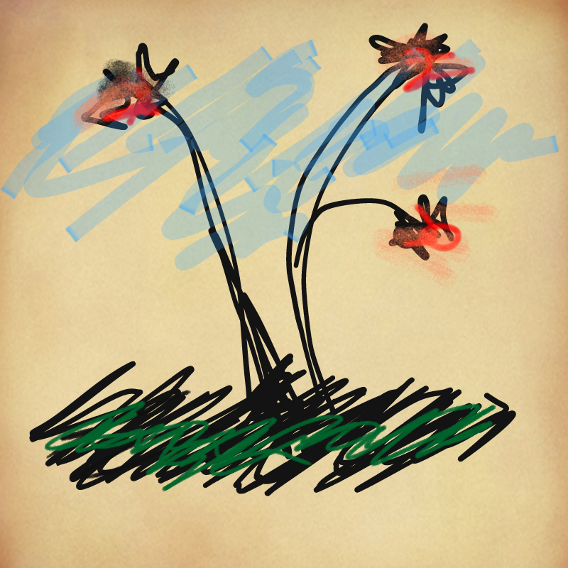 꽃 : 꽃 스케치판 ,sketchpan