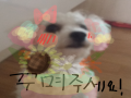 이히히히히.. : 이히히히히히ㅣ 스케치판 ,sketchpan
