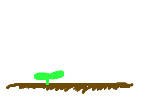 새싹의 날...(1편) : 새싹... 스케치판 ,sketchpan