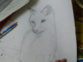 여...여우.. : 여...여우인데
늑대래.. 스케치판 ,sketchpan