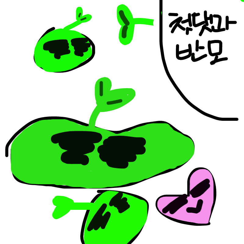 알쓰 쉬네 : 알쓰 쉬네 스케치판 ,sketchpan