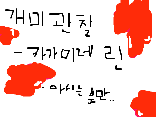 개미관찰{미완성} : 미완성한 뮤직 비디오 스케치판 ,sketchpan