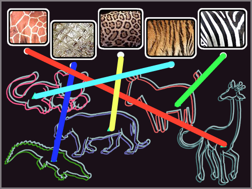 선 잇기 : 동물의 피부를 찿아 선을 이은 것이다. 스케치판 ,sketchpan
