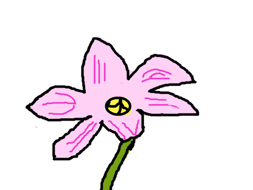 예쁜꽃 : 예쁜꽃이에요 스케치판 ,sketchpan