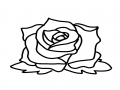 색칠은 포.. : 색칠은 포기 스케치판 ,sketchpan