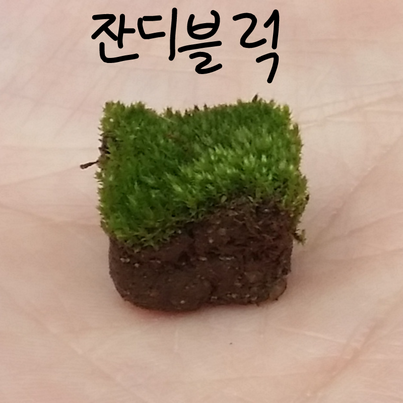 잔디블럭 : 잔디블럭 스케치판 ,sketchpan
