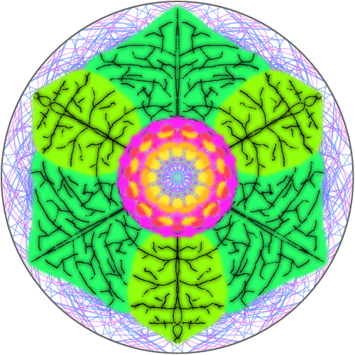 꽃 : 꽃 스케치판 ,sketchpan