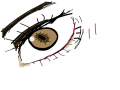   :   스케치판 ,sketchpan