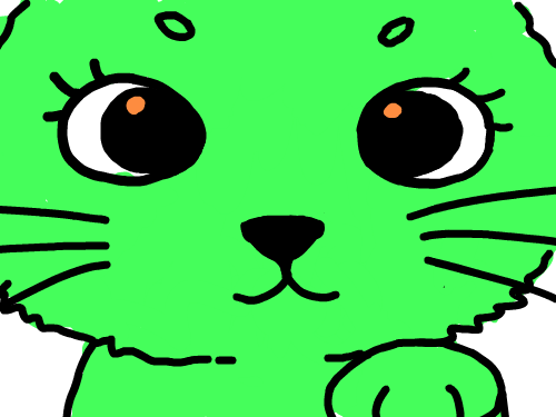 김민교 고양이 : 김민교 고양이 스케치판 ,sketchpan