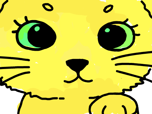 지수 고양이 : 지수 고양이 스케치판 ,sketchpan