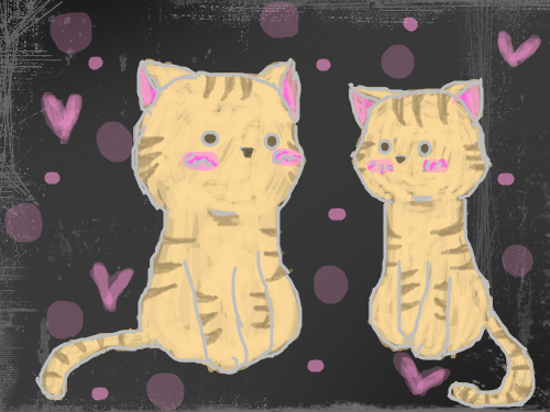 고양이~ : 고양이 2마리... 스케치판 ,sketchpan